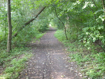 2008, Leihsings-Pad